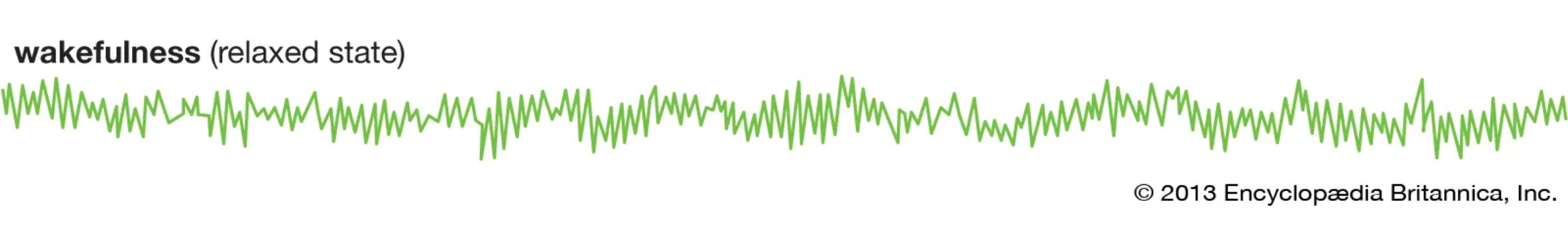 Source: Encyclopaedia Britannica — NREM sleep biology